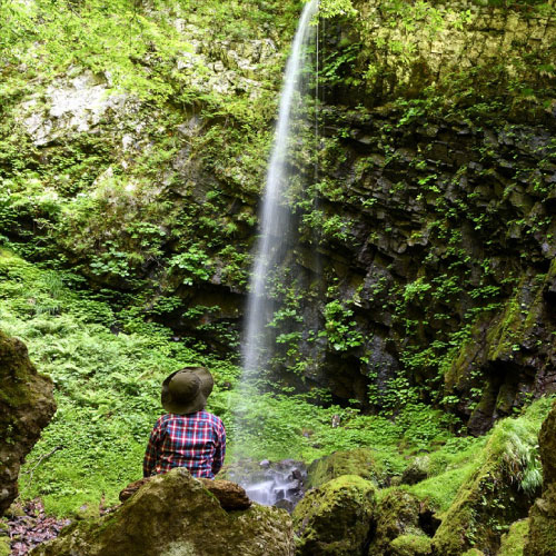 白神のブナ林散策（秋）