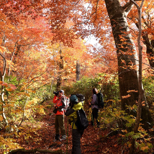 キャンプ（冬）