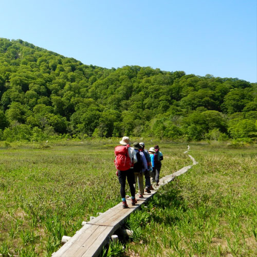 バードウォッチング（春）