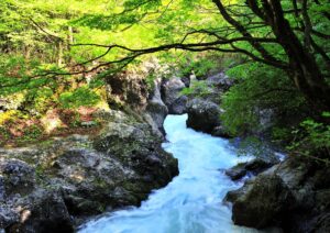 真瀬川