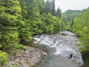 大川目川渓流